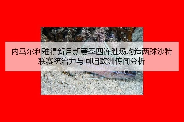 nei-ma-er-li-ya-de-xin-yue-xin-sai-ji-si-lian-sheng-chang-jun-zao-liang-qiu-sha-te-lian-sai-tong-zhi-li-yu-hui-gui-ou-3-442.jpg
